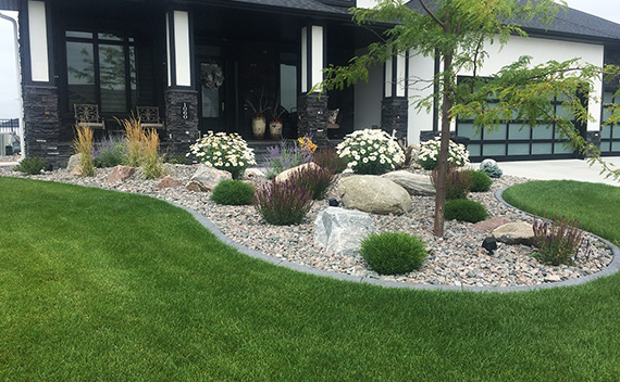 Plantscapes